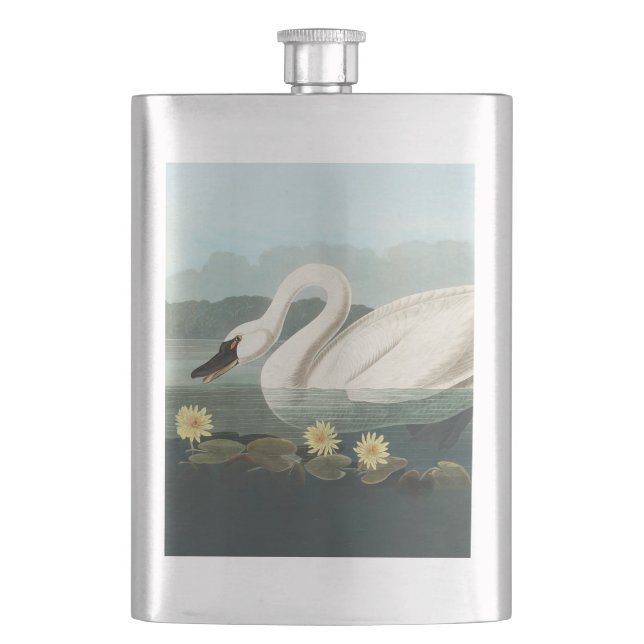 swan audubon bird white water swans flask (Front)