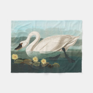 swan audubon bird white water swans fleece blanket