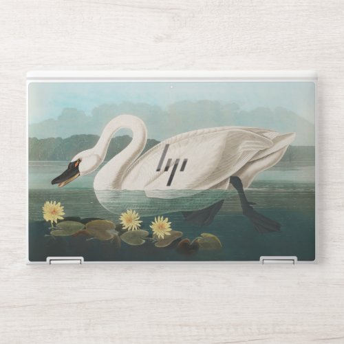 swan audubon bird white water swans HP laptop skin