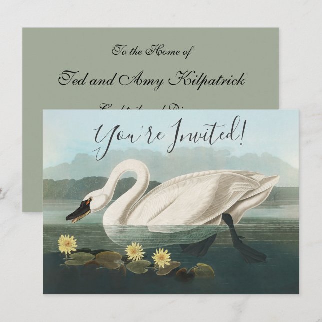 swan audubon bird white water swans invitation (Front/Back)