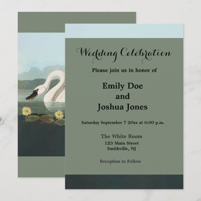 swan audubon bird white water swans invitation (Front/Back)