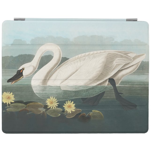 swan audubon bird white water swans iPad smart cover (Horizontal)