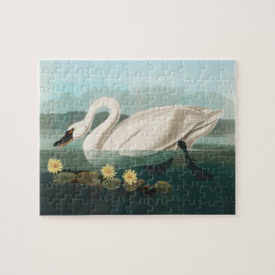 swan audubon bird white water swans jigsaw puzzle