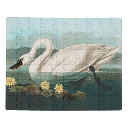 swan audubon bird white water swans jigsaw puzzle