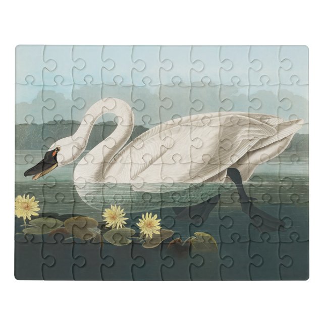 swan audubon bird white water swans jigsaw puzzle (Puzzle Horizontal)