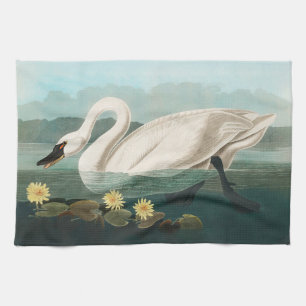 swan audubon bird white water swans kitchen towel