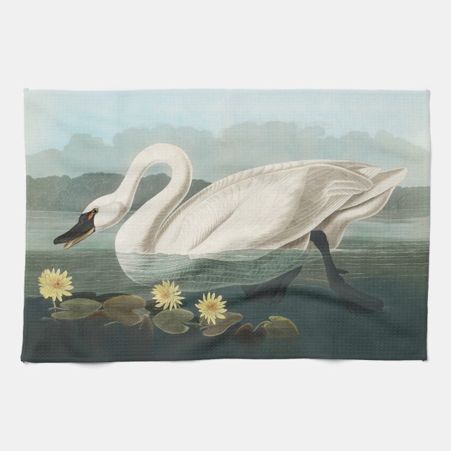 swan audubon bird white water swans kitchen towel (Horizontal)
