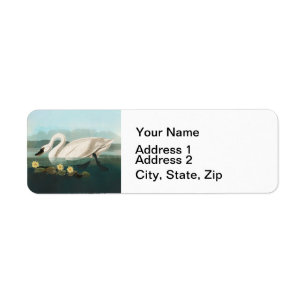 swan audubon bird white water swans label