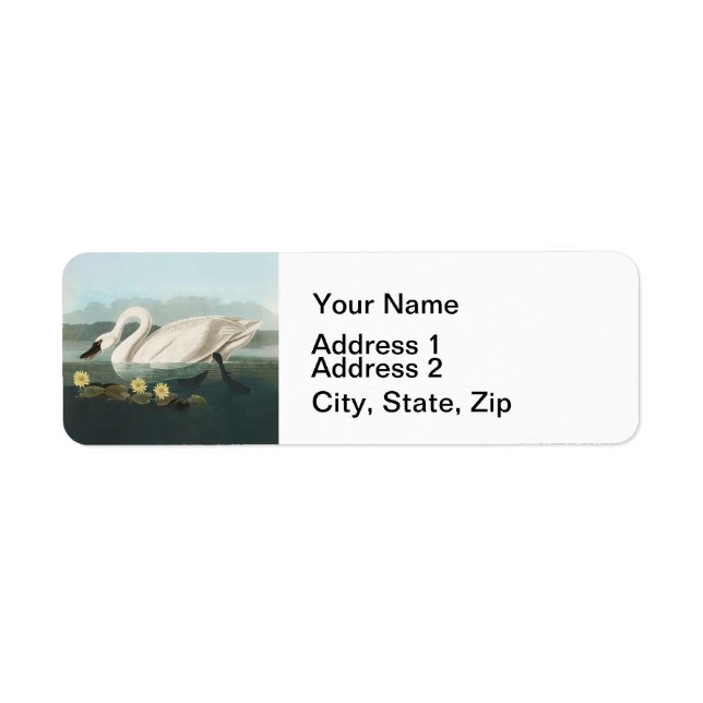 swan audubon bird white water swans label (Front)