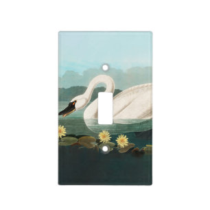 swan audubon bird white water swans light switch cover