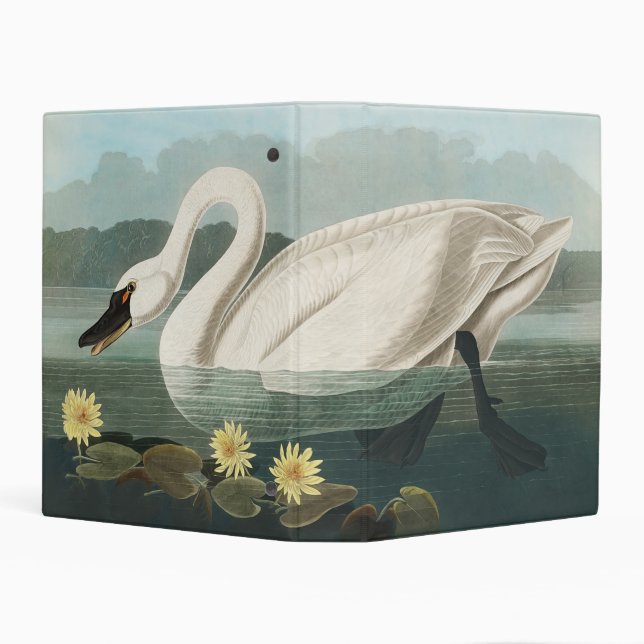 swan audubon bird white water swans mini binder (Background)