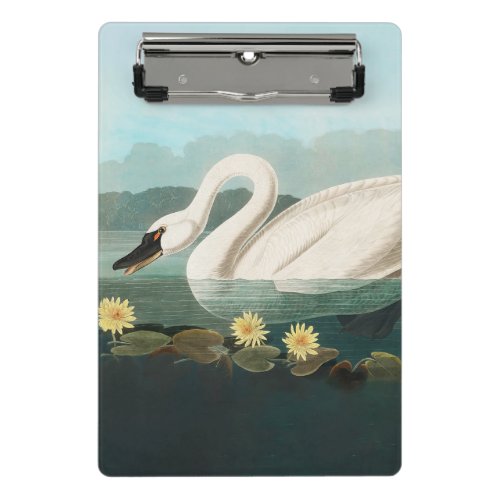 swan audubon bird white water swans mini clipboard