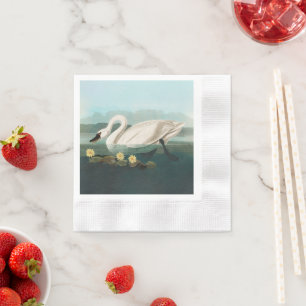 swan audubon bird white water swans napkins