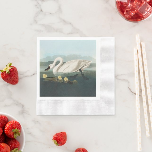 swan audubon bird white water swans napkins (Insitu)