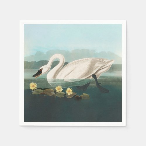 swan audubon bird white water swans napkins