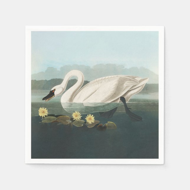 swan audubon bird white water swans napkins (Front)