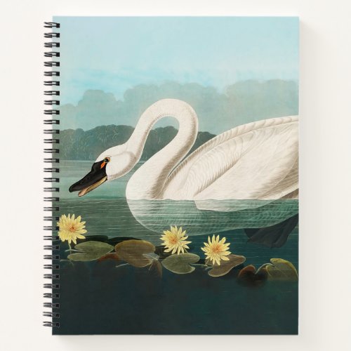 swan audubon bird white water swans notebook