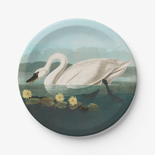 swan audubon bird white water swans paper plates