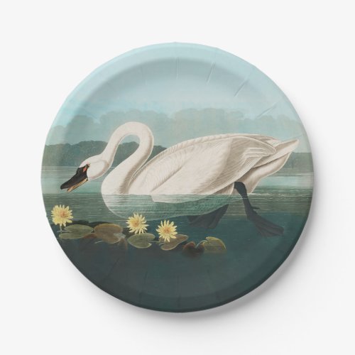 swan audubon bird white water swans paper plates