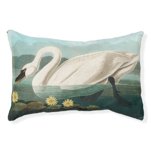 swan audubon bird white water swans pet bed