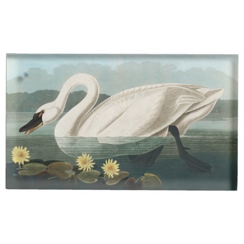 swan audubon bird white water swans place card holder