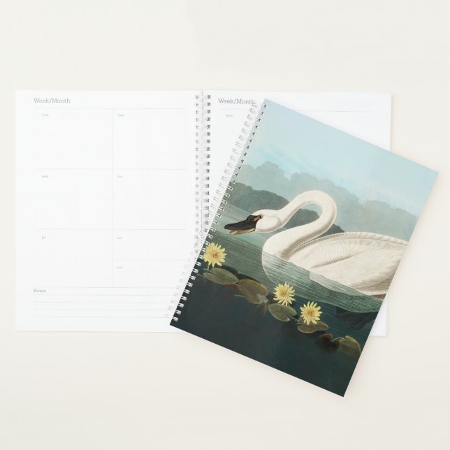 swan audubon bird white water swans planner (Display)
