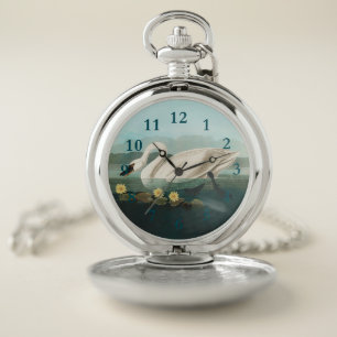 swan audubon bird white water swans pocket watch