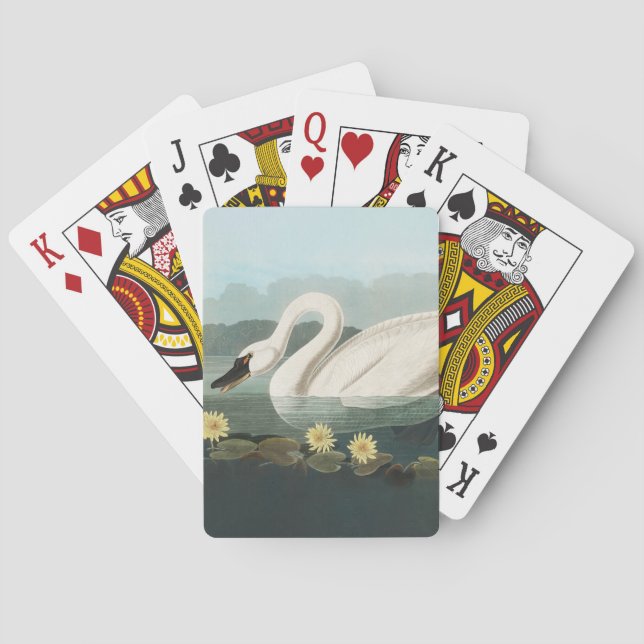 swan audubon bird white water swans poker cards (Back)