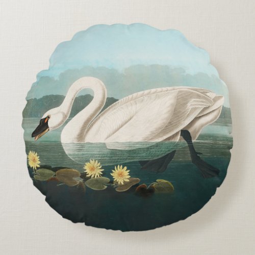 swan audubon bird white water swans round pillow