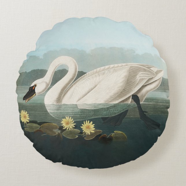 swan audubon bird white water swans round pillow (Front)