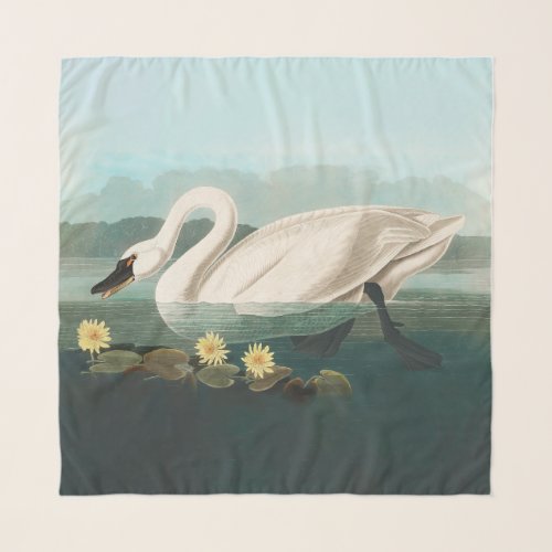 swan audubon bird white water swans scarf