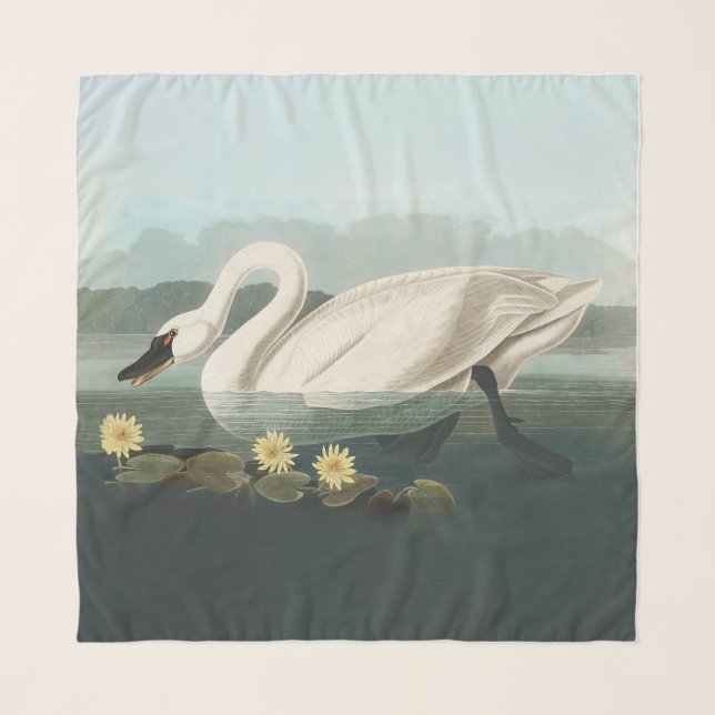 swan audubon bird white water swans scarf (Front)