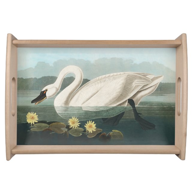 swan audubon bird white water swans serving tray (Front)