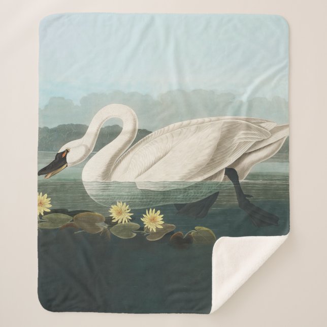 swan audubon bird white water swans sherpa blanket (Front)