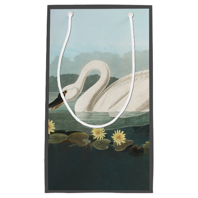 swan audubon bird white water swans small gift bag (Front)