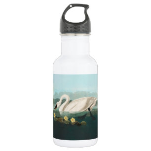 swan audubon bird white water swans stainless steel water bottle