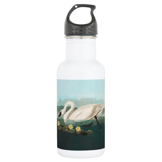 swan audubon bird white water swans stainless steel water bottle (Front)