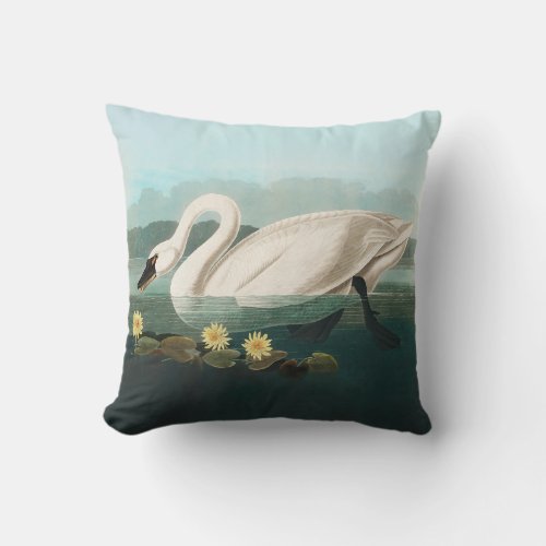 swan audubon bird white water swans throw pillow