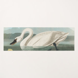 swan audubon bird white water swans yoga mat