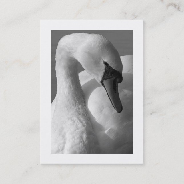 Swan B&W (Bordered) Business Card (Front)