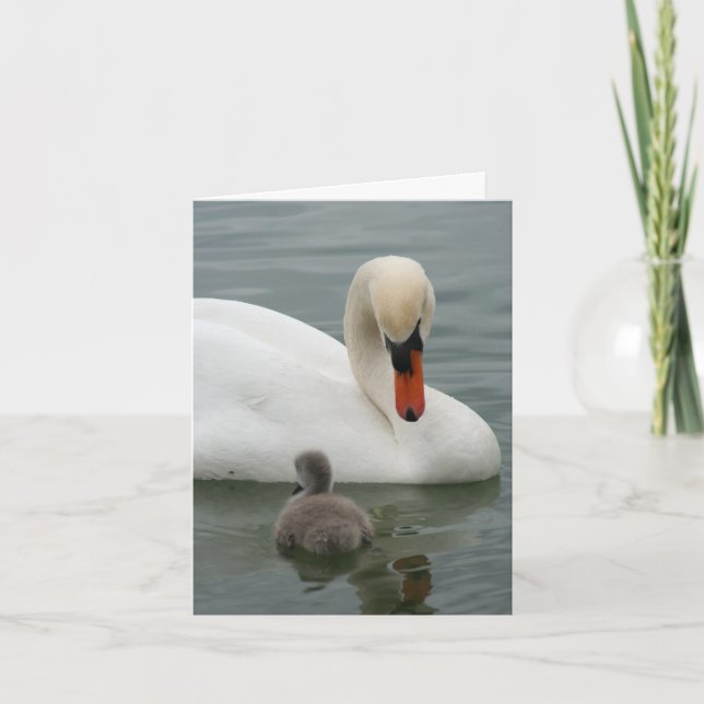 Swan Baby Announcement (Front)