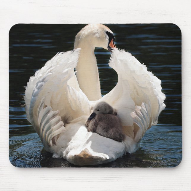 swan baby swan white mouse pad (Front)