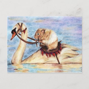Swan Back Riding (hamster) Postcards by jaisjewels at Zazzle
