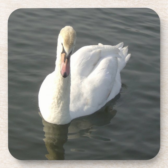 Swan Beverage Coaster (Front)