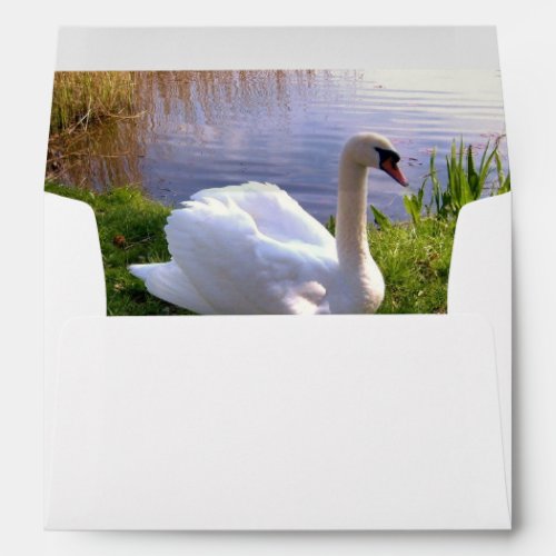 Swan Birds  Animals Envelope Style A7Greeting Card