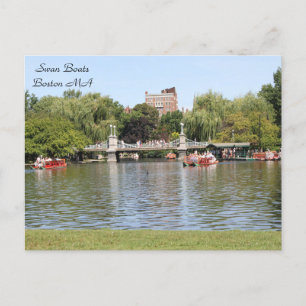 Swan Boats, Boston, MA, photography Postcard