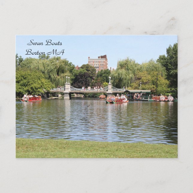 Swan Boats, Boston, MA, photography Postcard (Front)