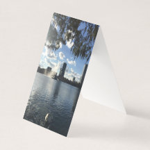 Swan Business Card