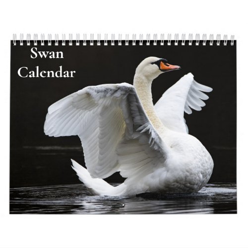 Swan Calendar 2024