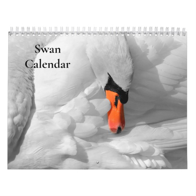 Swan Calendar 2026 (Cover)